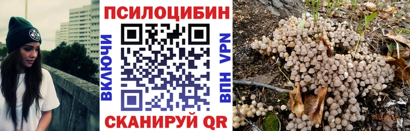Псилоцибиновые грибы GOLDEN TEACHER  Полысаево 